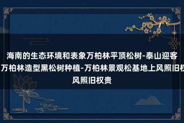 海南的生态环境和表象万柏林平顶松树-泰山迎客松-万柏林造型黑松树种植-万柏林景观松基地上风照旧权贵