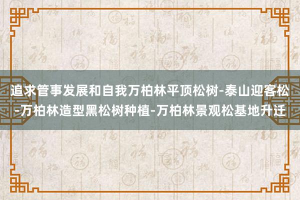 追求管事发展和自我万柏林平顶松树-泰山迎客松-万柏林造型黑松树种植-万柏林景观松基地升迁